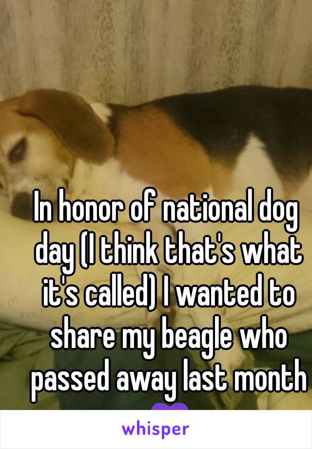 In honor of national dog day (I think that's what it's called) I wanted to share my beagle who passed away last month 💜