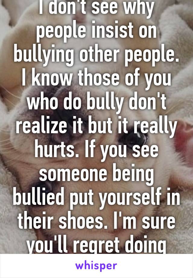 I don't see why people insist on bullying other people. I know those of you who do bully don't realize it but it really hurts. If you see someone being bullied put yourself in their shoes. I'm sure you'll regret doing that to people 