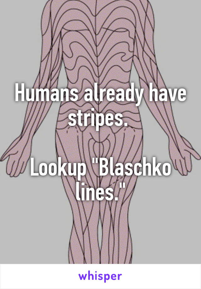 Humans already have stripes. 

Lookup "Blaschko lines."