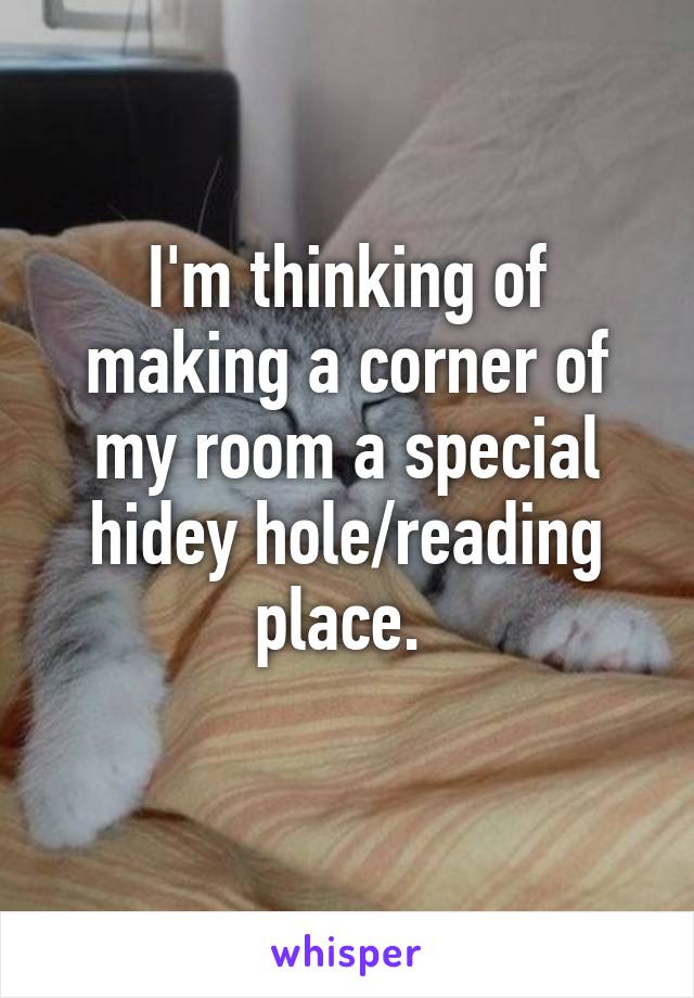 I'm thinking of making a corner of my room a special hidey hole/reading place. 
