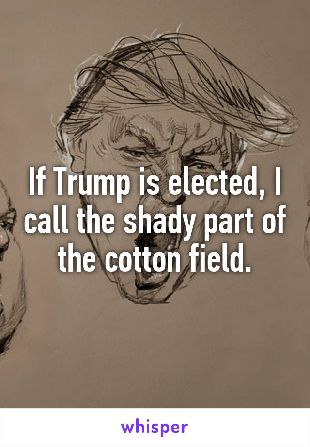 If Trump is elected, I call the shady part of the cotton field.