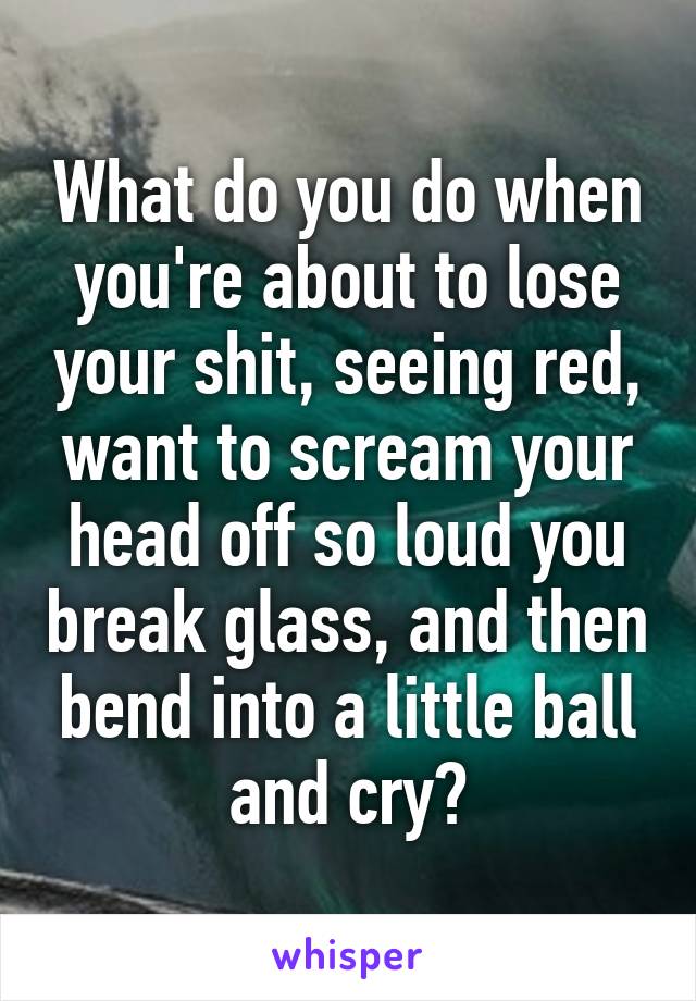 What do you do when you're about to lose your shit, seeing red, want to scream your head off so loud you break glass, and then bend into a little ball and cry?