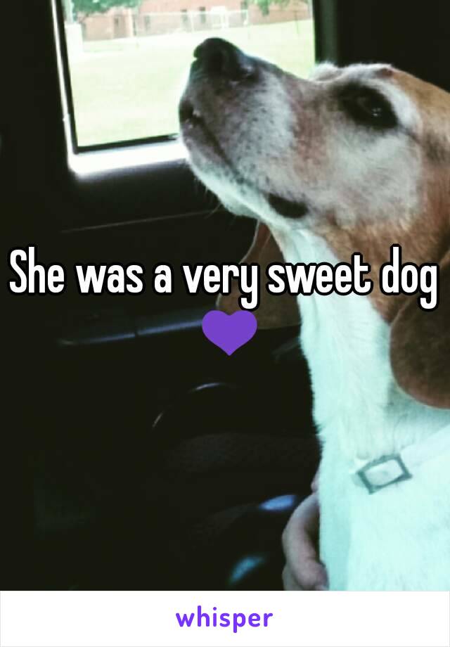 She was a very sweet dog 💜