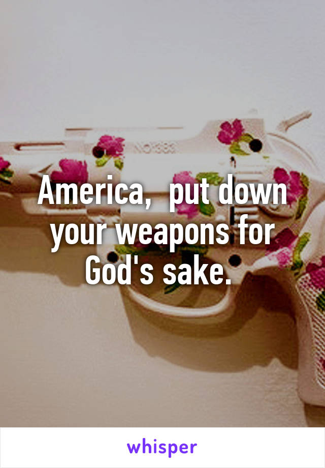 America,  put down your weapons for God's sake. 