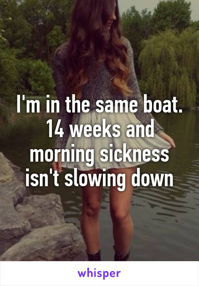 I'm in the same boat. 14 weeks and morning sickness isn't slowing down