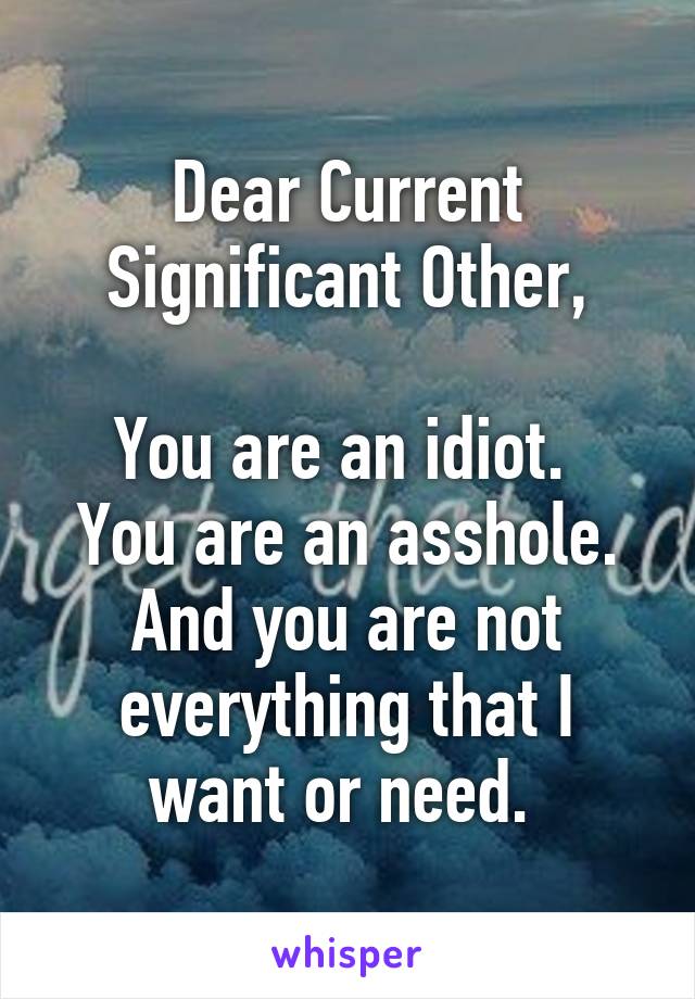 Dear Current Significant Other,

You are an idiot. 
You are an asshole.
And you are not everything that I want or need. 