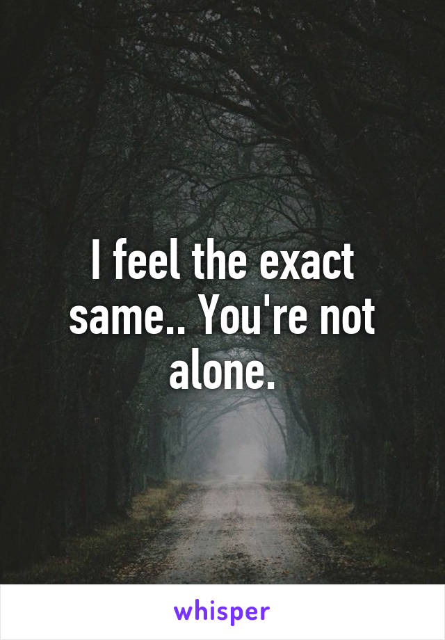 I feel the exact same.. You're not alone.