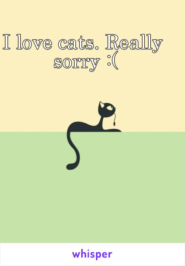 I love cats. Really sorry :(