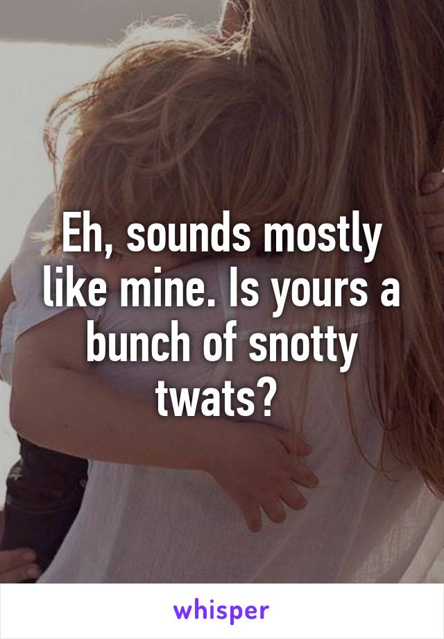 Eh, sounds mostly like mine. Is yours a bunch of snotty twats? 