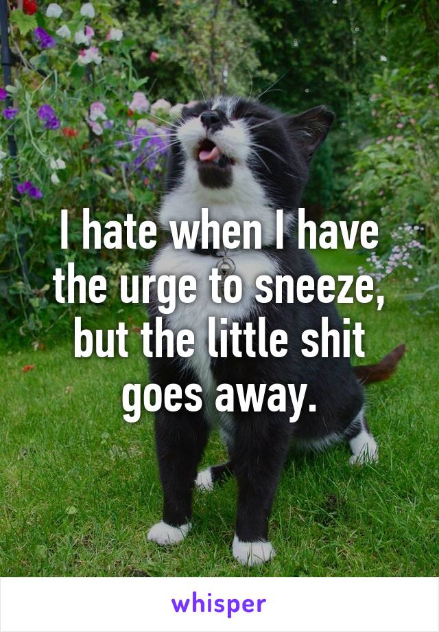 I hate when I have the urge to sneeze, but the little shit goes away.