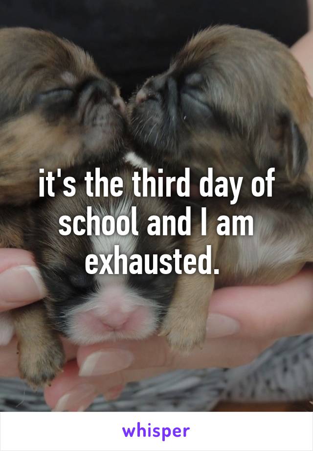 it's the third day of school and I am exhausted. 