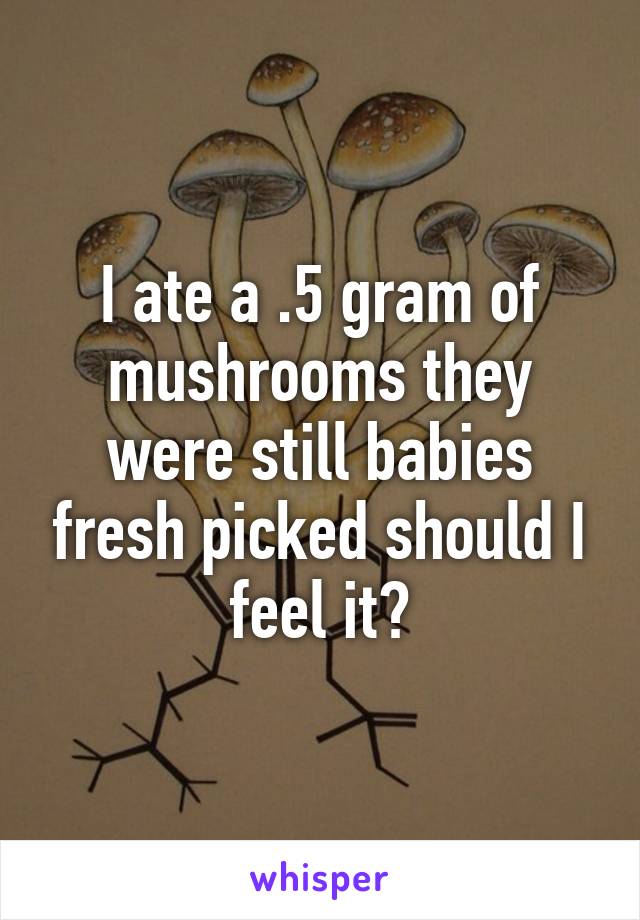 I ate a .5 gram of mushrooms they were still babies fresh picked should I feel it?