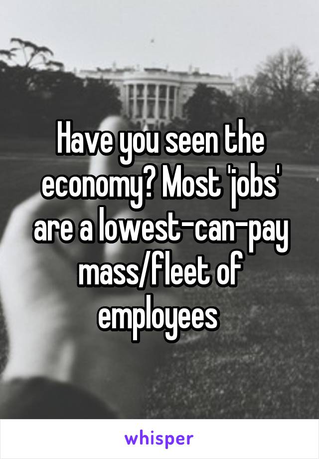 Have you seen the economy? Most 'jobs' are a lowest-can-pay mass/fleet of employees 