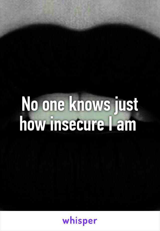 No one knows just how insecure I am 