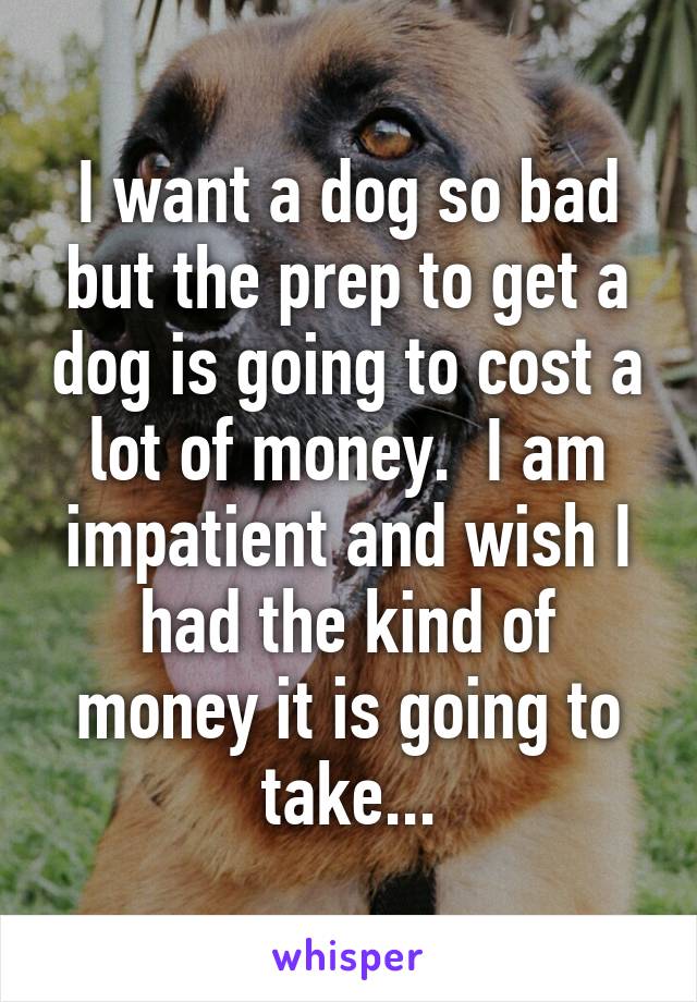 I want a dog so bad but the prep to get a dog is going to cost a lot of money.  I am impatient and wish I had the kind of money it is going to take...