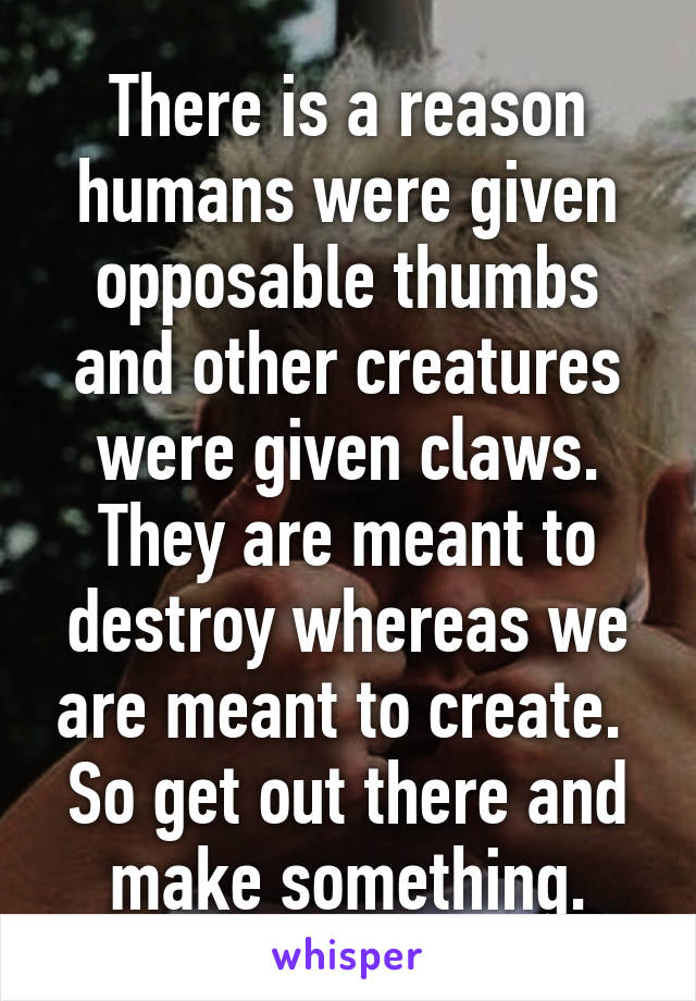 There is a reason humans were given opposable thumbs and other creatures were given claws. They are meant to destroy whereas we are meant to create. 
So get out there and make something.