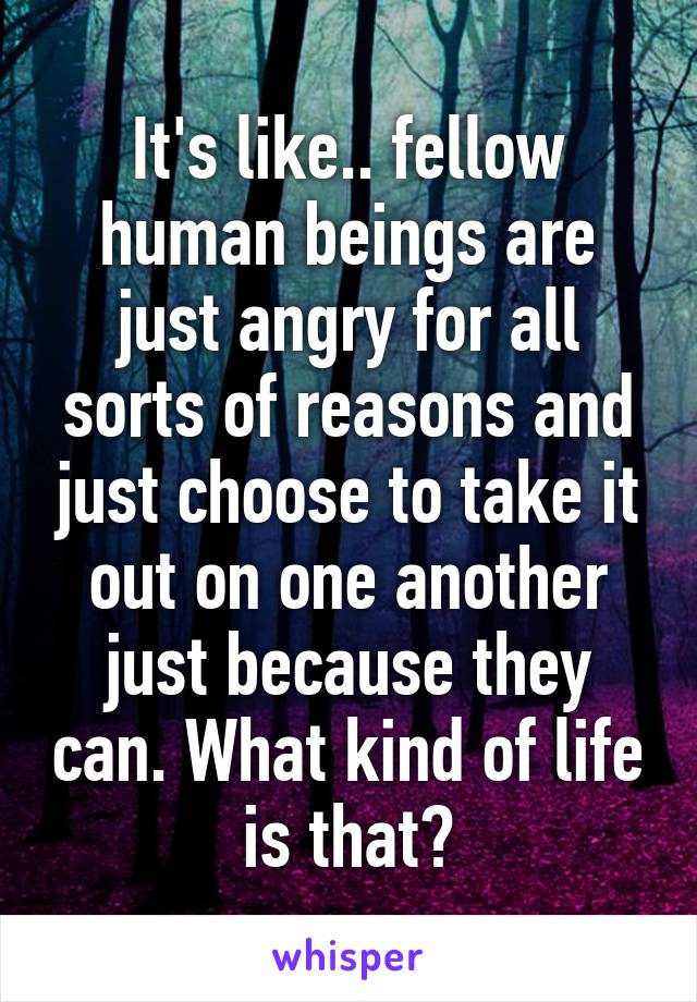 It's like.. fellow human beings are just angry for all sorts of reasons and just choose to take it out on one another just because they can. What kind of life is that?