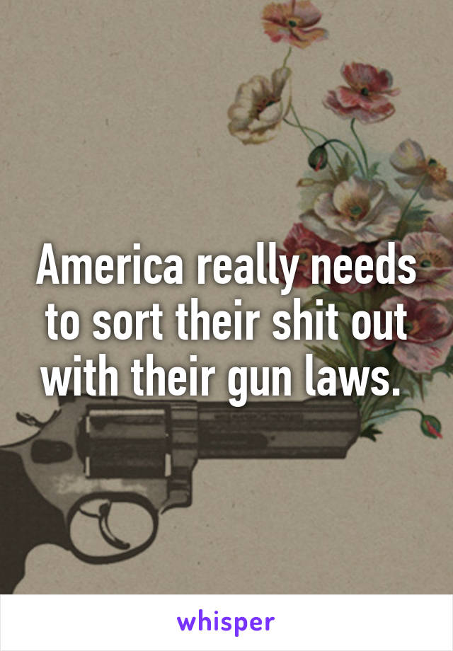 America really needs to sort their shit out with their gun laws. 