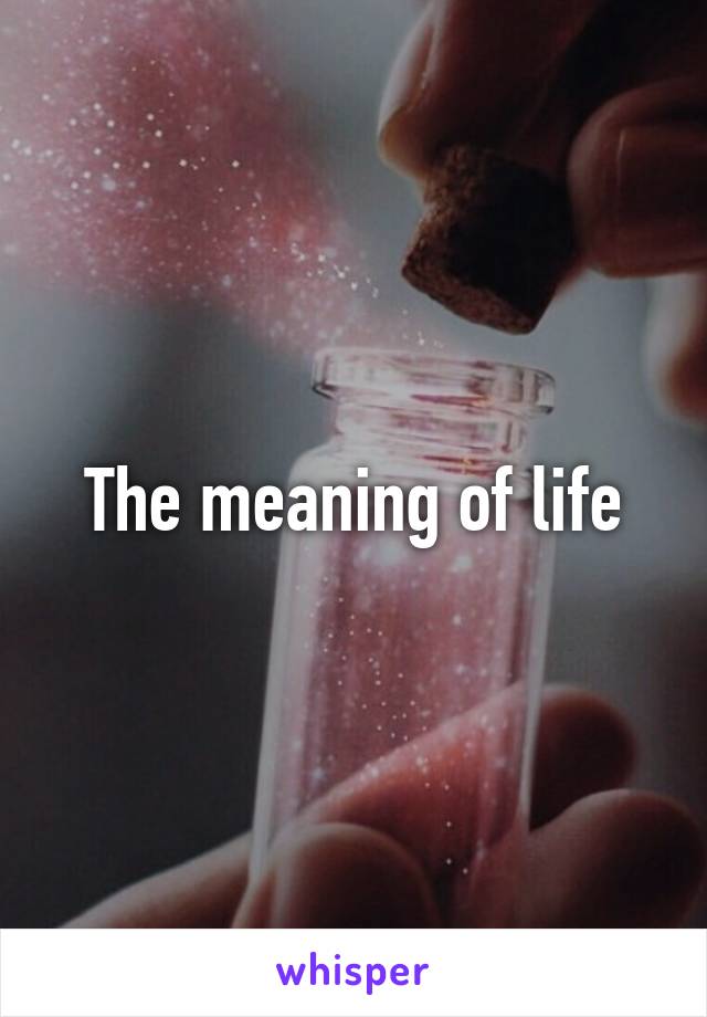 The meaning of life