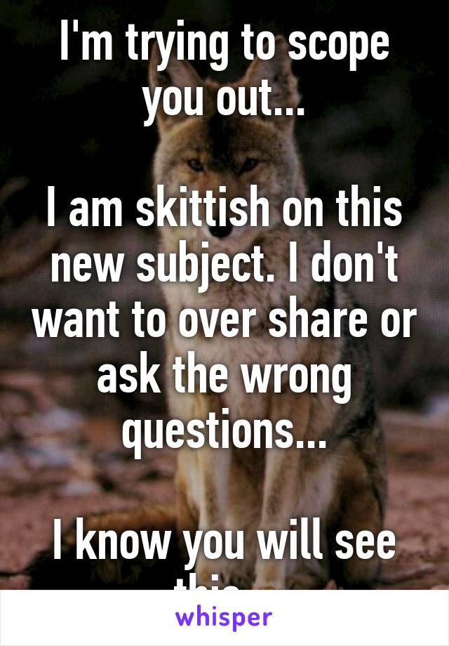 I'm trying to scope you out...

I am skittish on this new subject. I don't want to over share or ask the wrong questions...

I know you will see this...