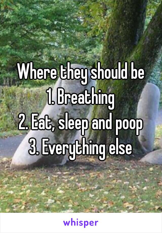 Where they should be
1. Breathing
2. Eat, sleep and poop
3. Everything else