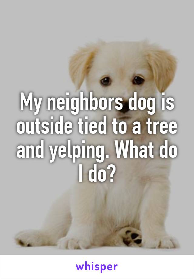 My neighbors dog is outside tied to a tree and yelping. What do I do?