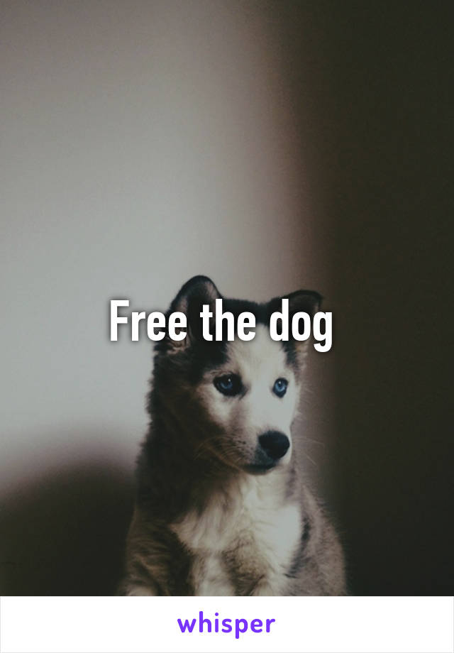 Free the dog 