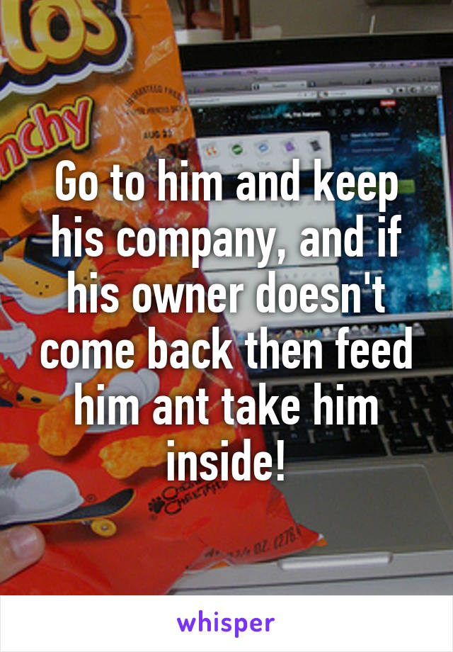 Go to him and keep his company, and if his owner doesn't come back then feed him ant take him inside!