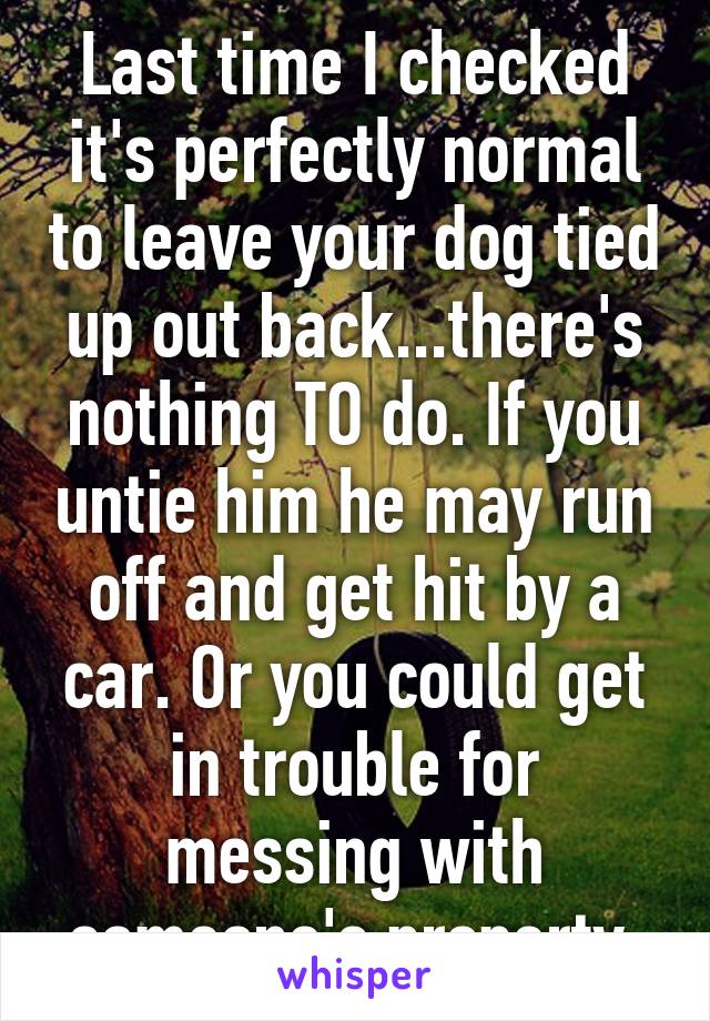 Last time I checked it's perfectly normal to leave your dog tied up out back...there's nothing TO do. If you untie him he may run off and get hit by a car. Or you could get in trouble for messing with someone's property.