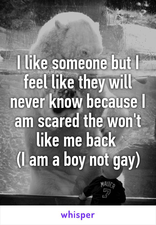 I like someone but I feel like they will never know because I am scared the won't like me back 
(I am a boy not gay)