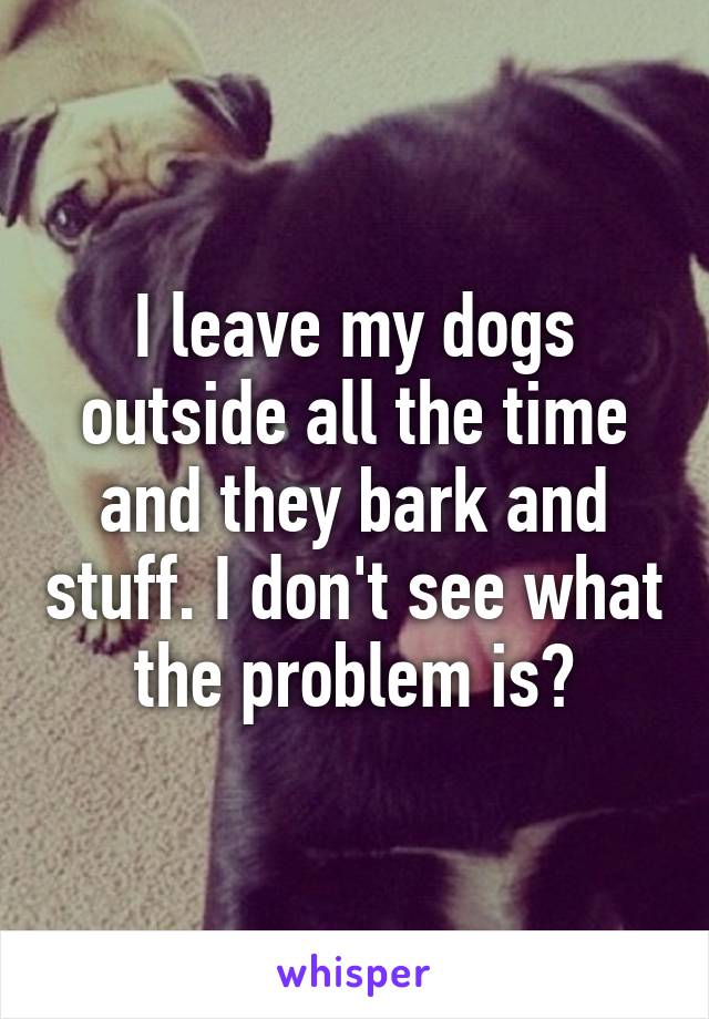 I leave my dogs outside all the time and they bark and stuff. I don't see what the problem is?