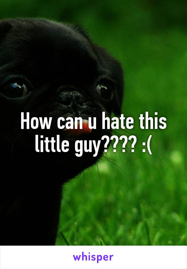 How can u hate this little guy???? :(