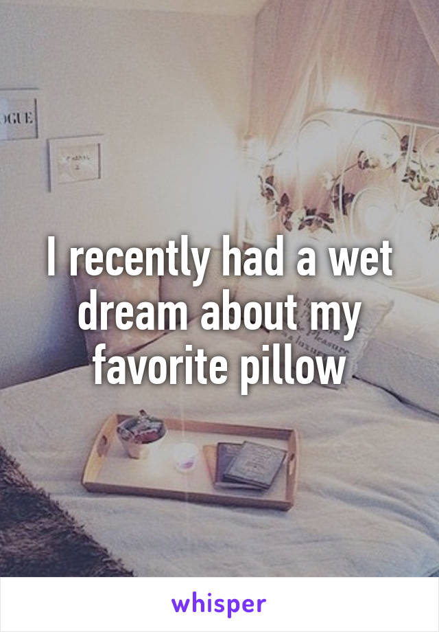 I recently had a wet dream about my favorite pillow