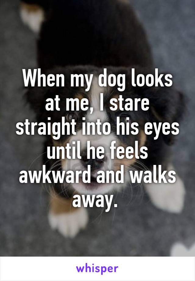 When my dog looks at me, I stare straight into his eyes until he feels awkward and walks away. 