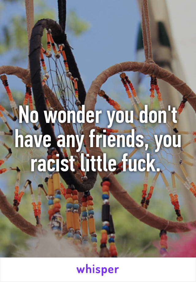 No wonder you don't have any friends, you racist little fuck. 