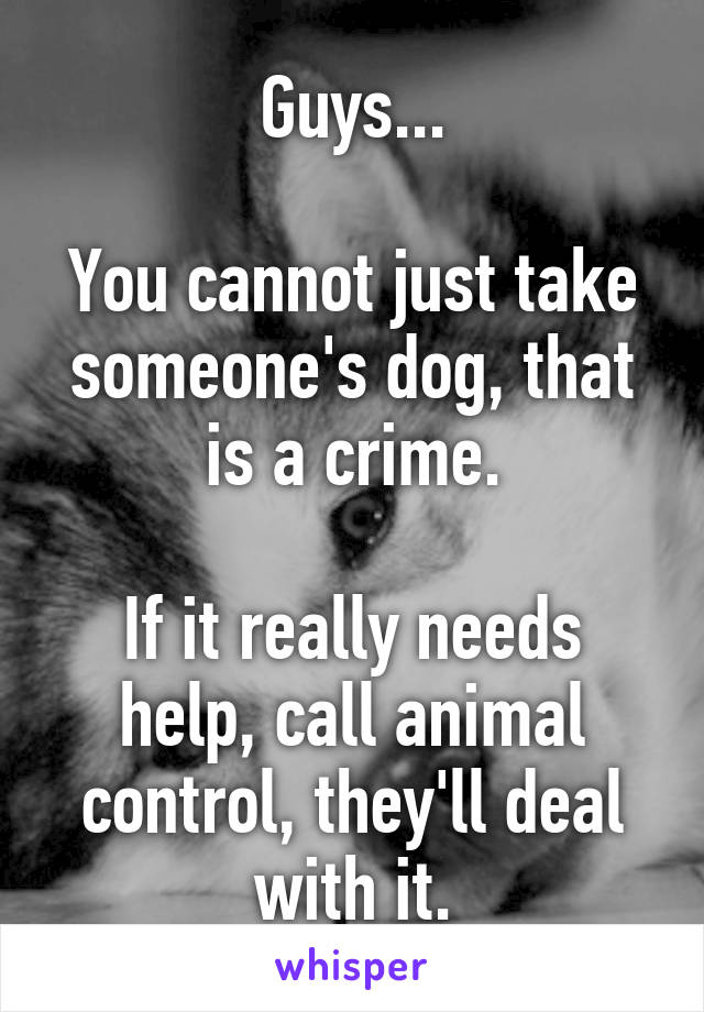 Guys...

You cannot just take someone's dog, that is a crime.

If it really needs help, call animal control, they'll deal with it.