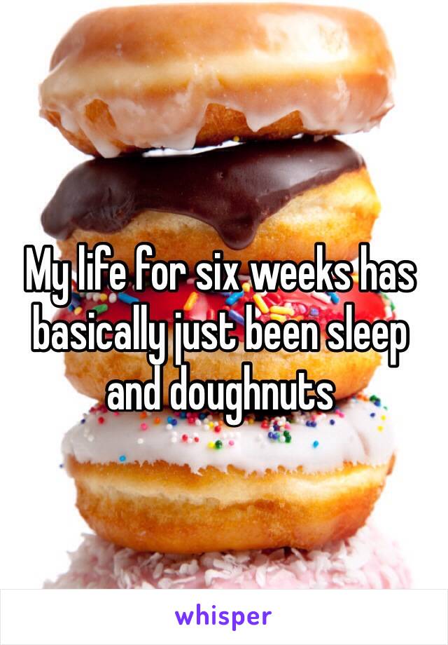 My life for six weeks has basically just been sleep and doughnuts 