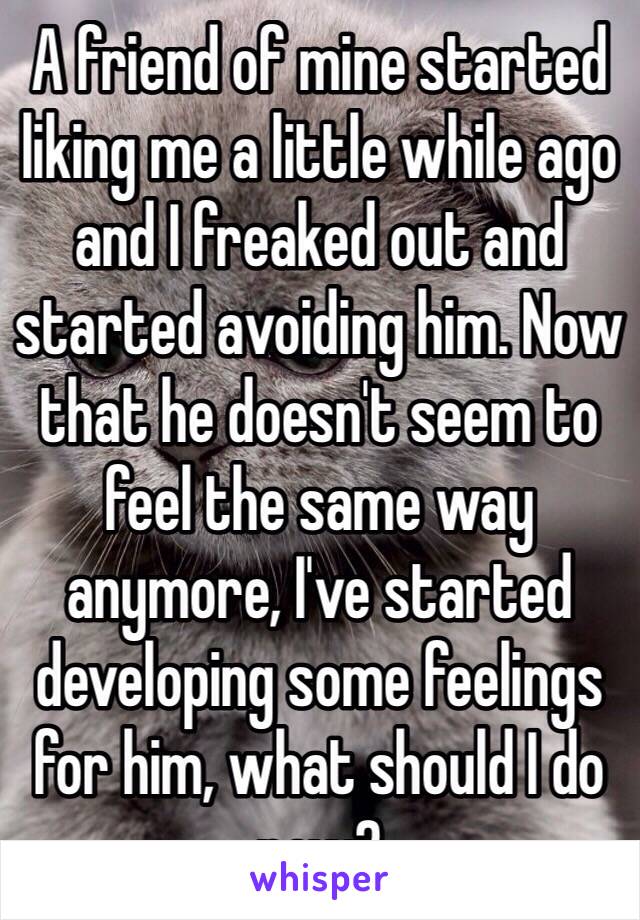 A friend of mine started liking me a little while ago and I freaked out and started avoiding him. Now that he doesn't seem to feel the same way anymore, I've started developing some feelings for him, what should I do now?