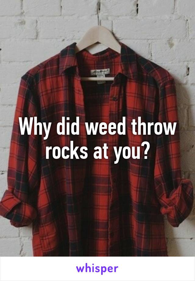 Why did weed throw rocks at you?