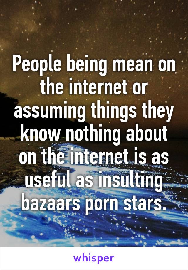 People being mean on the internet or assuming things they know nothing about on the internet is as useful as insulting bazaars porn stars.