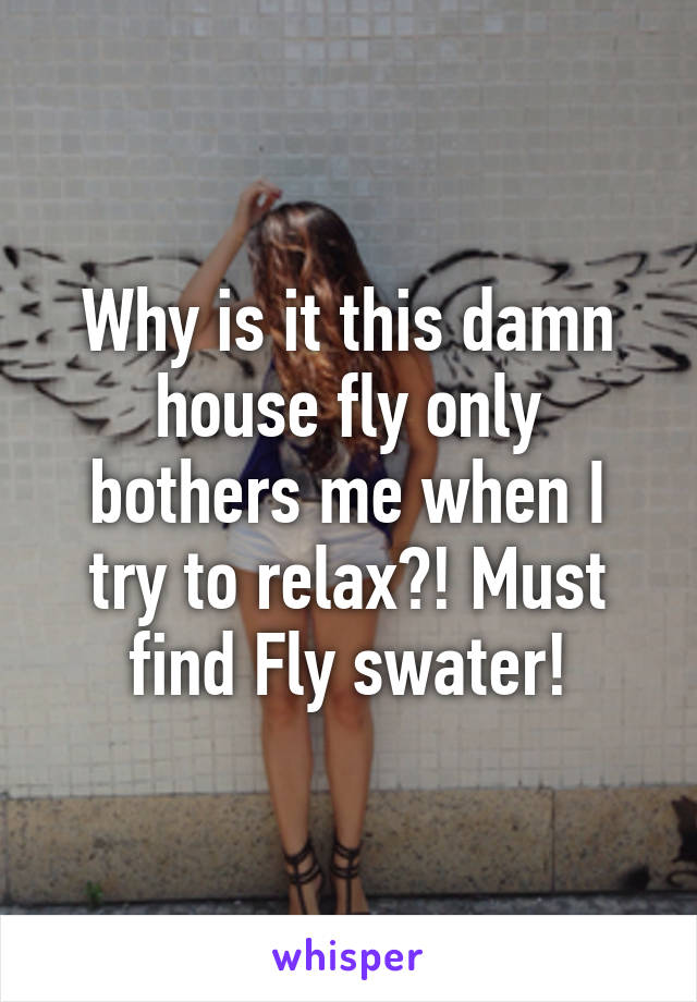 Why is it this damn house fly only bothers me when I try to relax?! Must find Fly swater!