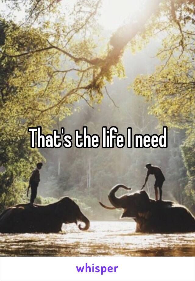 That's the life I need