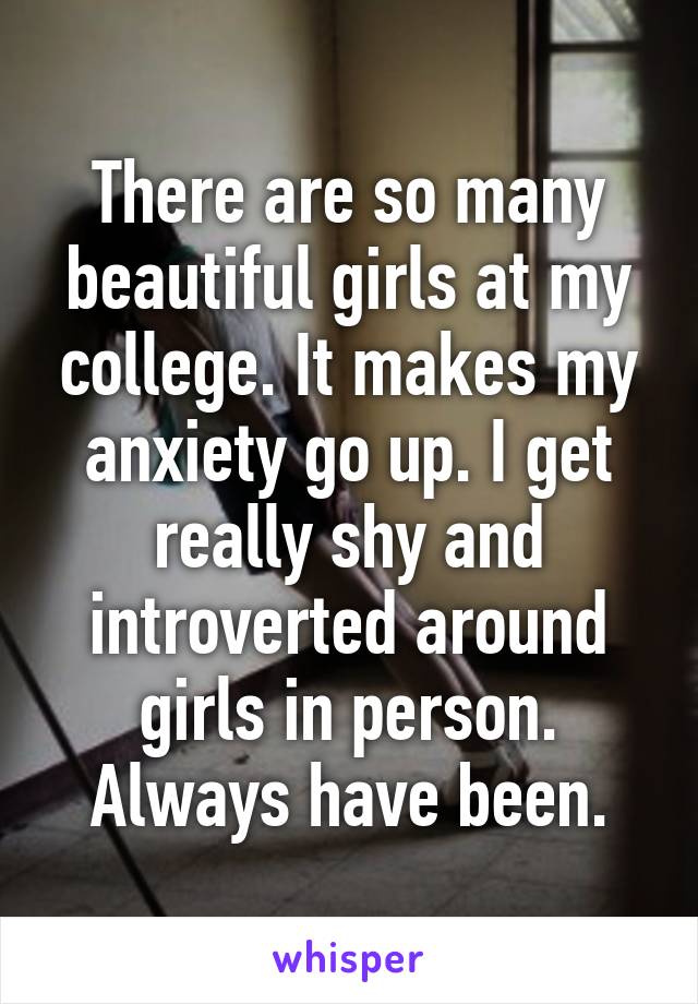 There are so many beautiful girls at my college. It makes my anxiety go up. I get really shy and introverted around girls in person. Always have been.