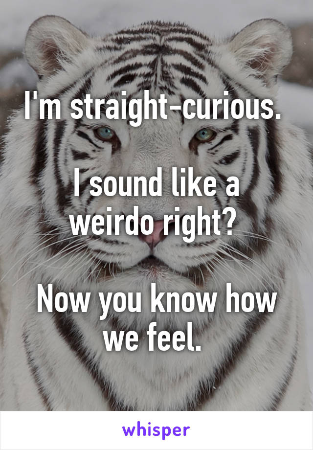 I'm straight-curious. 

I sound like a weirdo right? 

Now you know how we feel. 