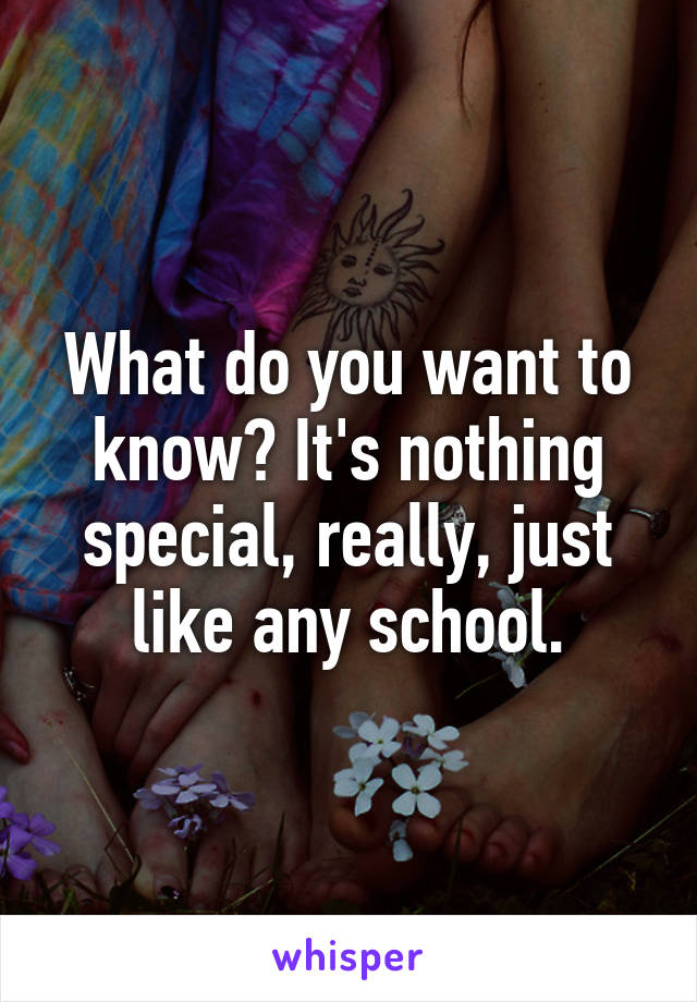 What do you want to know? It's nothing special, really, just like any school.