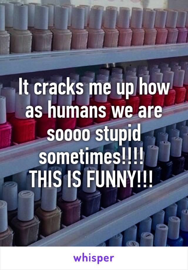 It cracks me up how as humans we are soooo stupid sometimes!!!! 
THIS IS FUNNY!!! 