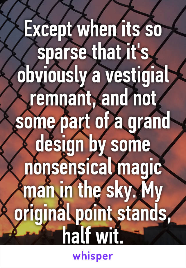 Except when its so sparse that it's obviously a vestigial remnant, and not some part of a grand design by some nonsensical magic man in the sky. My original point stands, half wit.