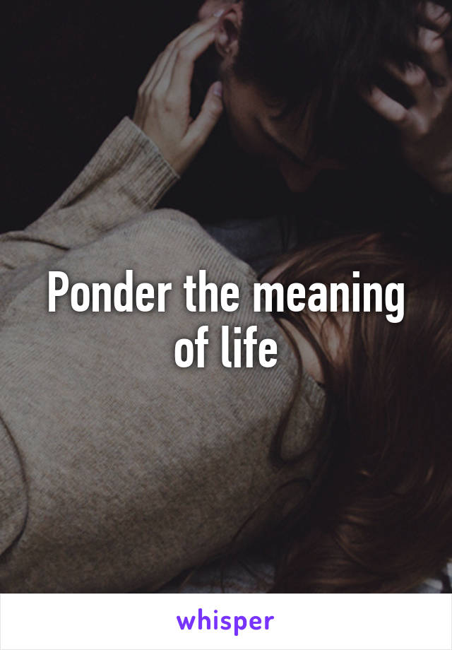 Ponder the meaning of life