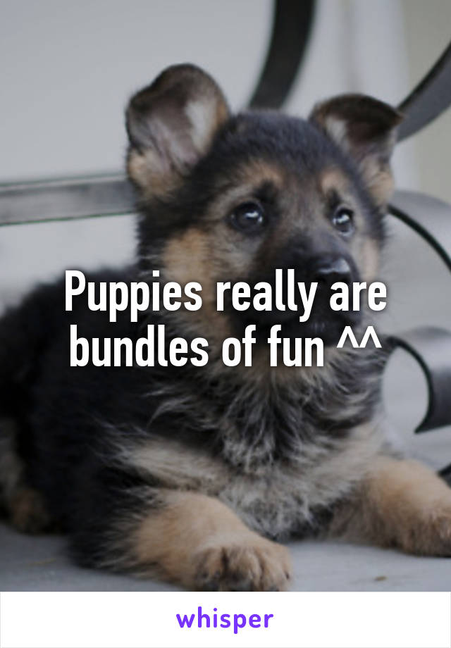 Puppies really are bundles of fun ^^