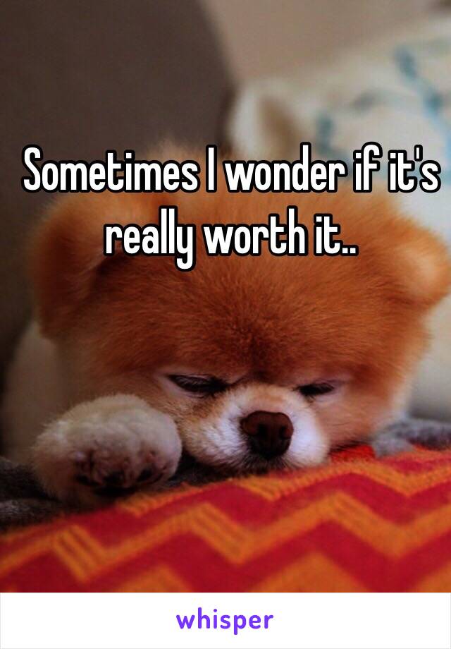 Sometimes I wonder if it's really worth it..